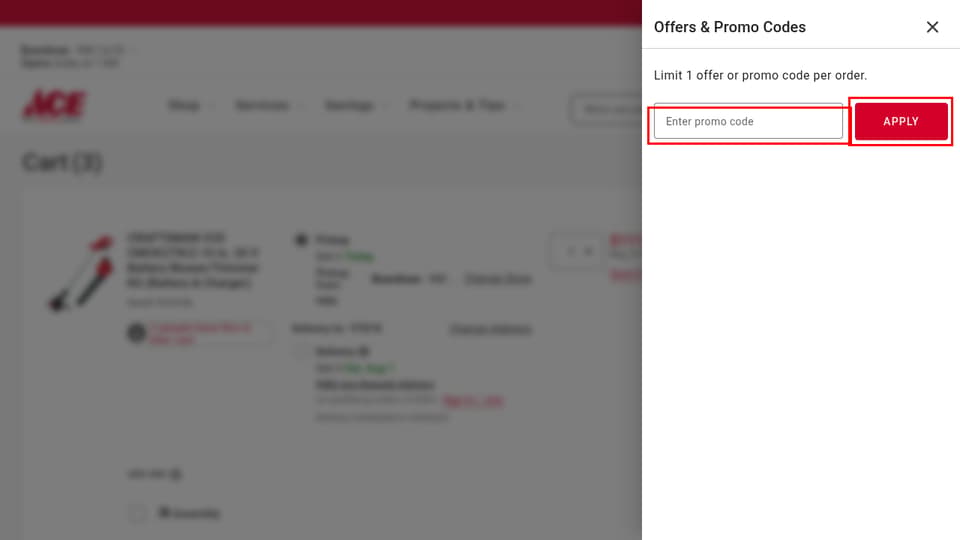 Ace Hardware checkout page showing the Enter promo code field and APPLY button