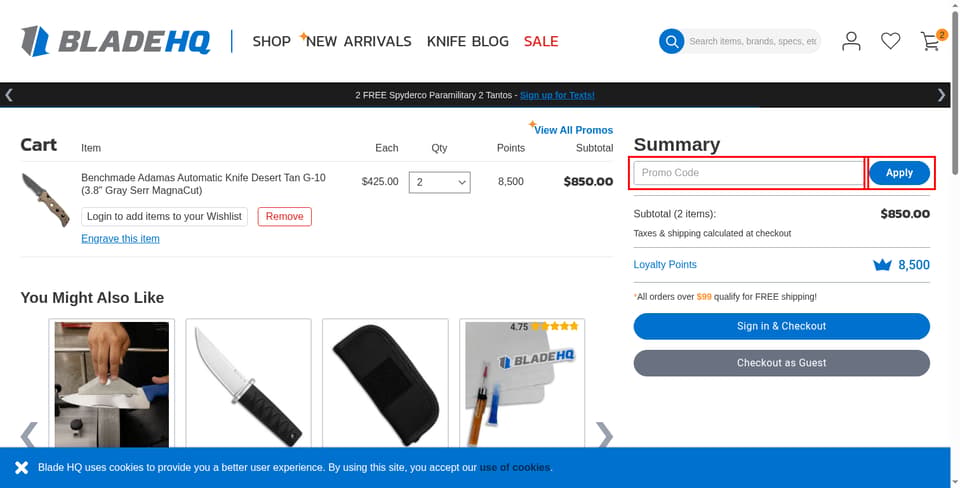 Blade HQ checkout page showing the Promo Code field and Apply button