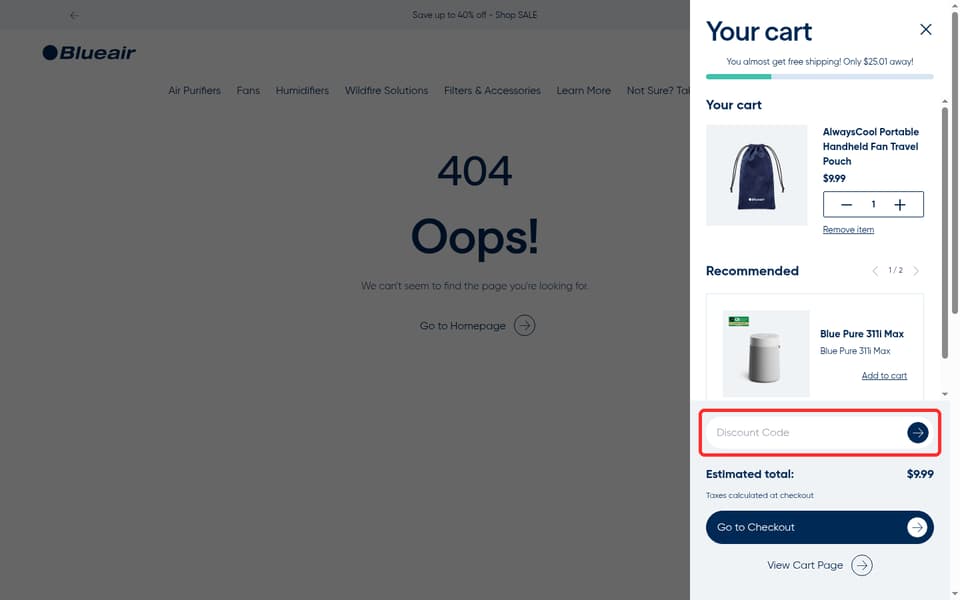 Blueair checkout page showing the Discount Code field and → button
