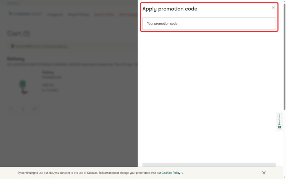 Cathay Pacific checkout page showing the Your promotion code field and Apply button