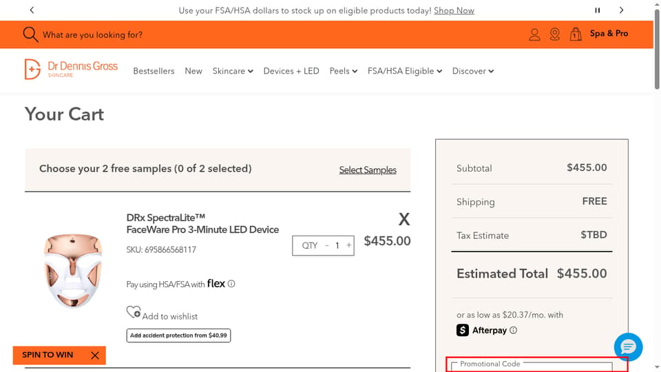 Dr. Dennis Gross Skincare checkout page showing the Enter Promo Code field and Apply button