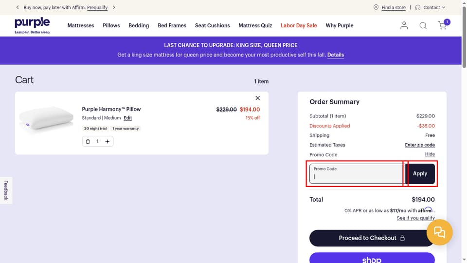 Purple checkout page showing the Promo Code field and Apply button