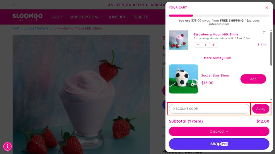 Sloomoo Institute checkout page showing the Discount Code field and Apply button