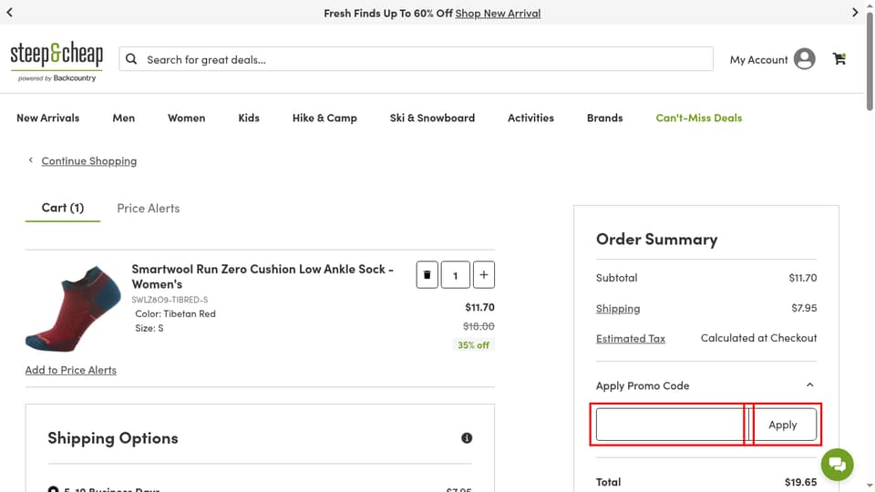Steep & Cheap checkout page showing the promo code field and Apply button