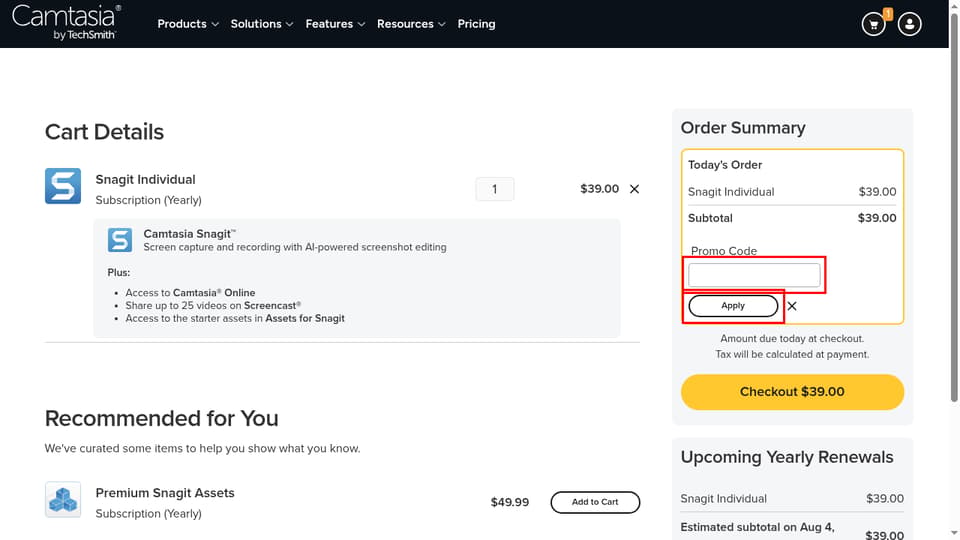 TechSmith checkout page showing the promo code field and Apply button