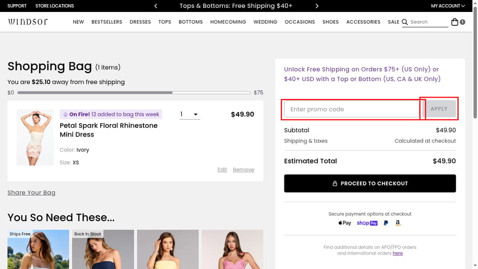 Windsor checkout page showing the Enter promo code field and APPLY button