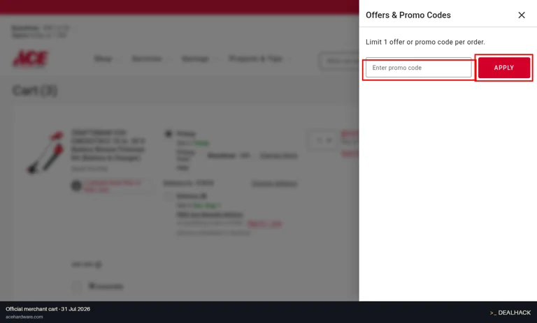 Ace Hardware checkout page showing the Enter promo code field and APPLY button