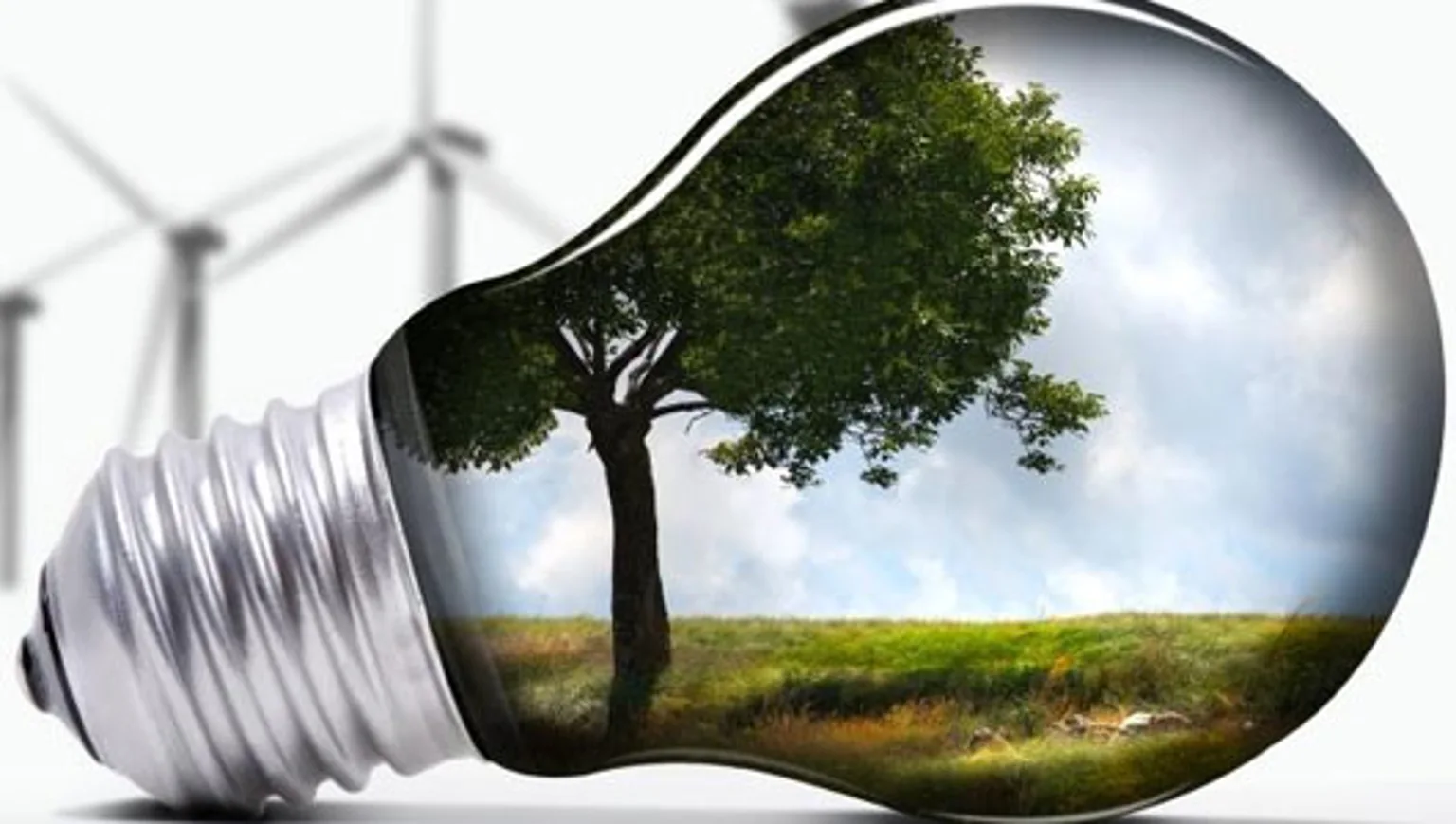 Energy Efficiency Guide: Save Money on Home Energy Costs