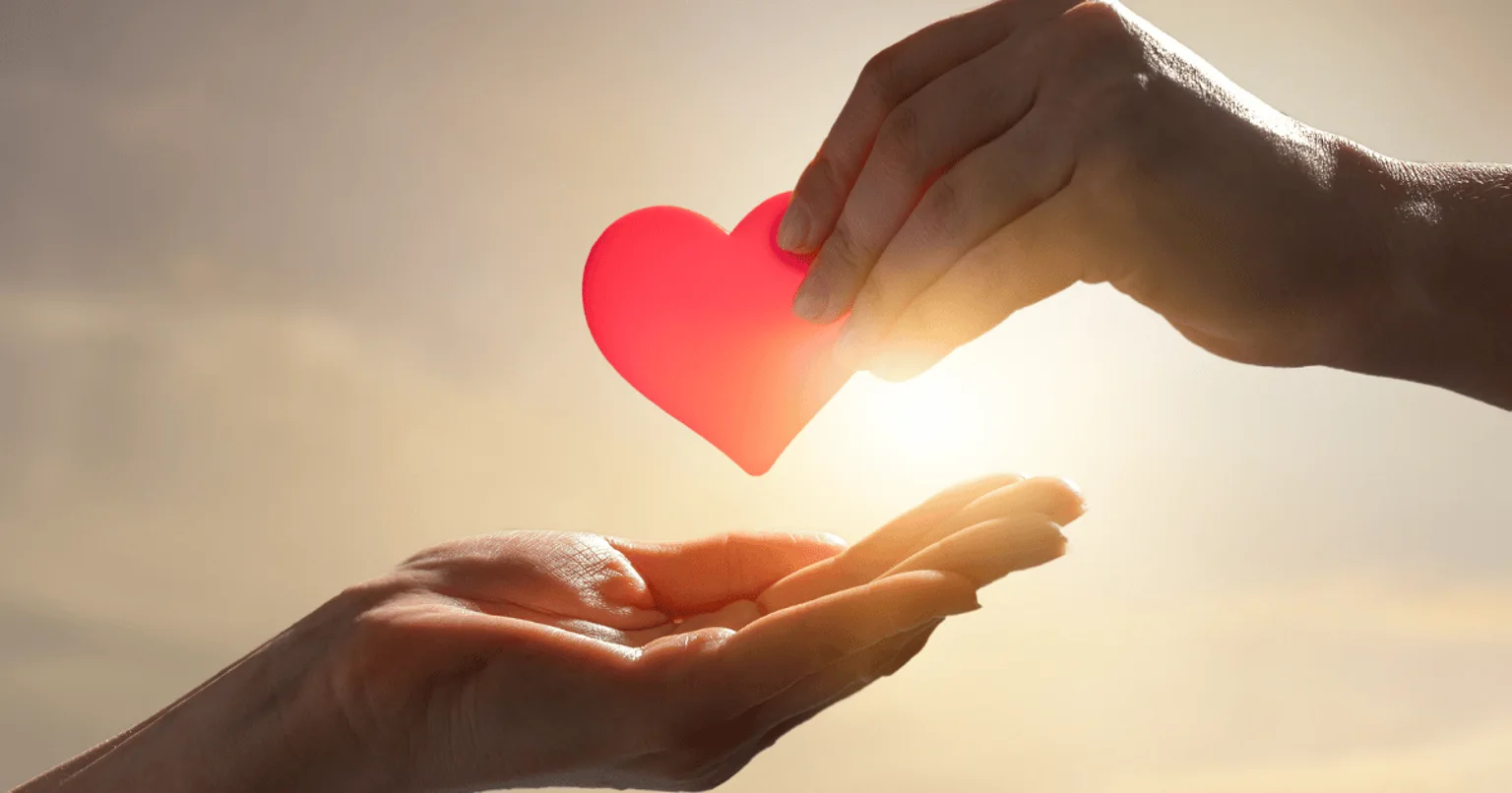 How to Support Charities While On a Budget