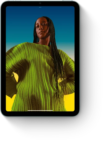 iPad Mini