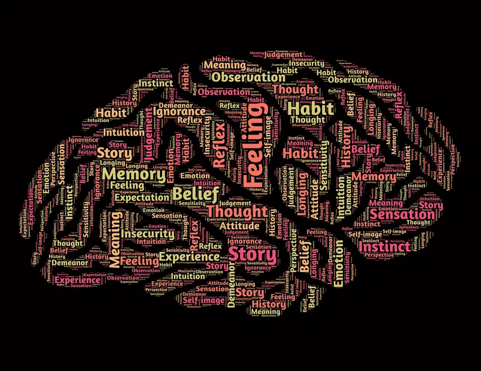 The Psychology of Promo Codes: How They Affect Our Shopping Habits