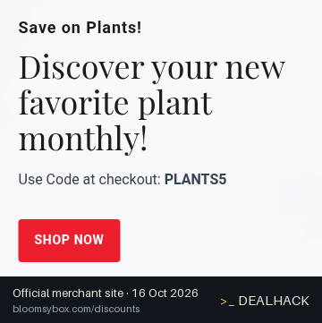 Screenshot of BloomsyBox's website on Oct 16, 2026 showing the "Save on Plant Subscriptions" offer