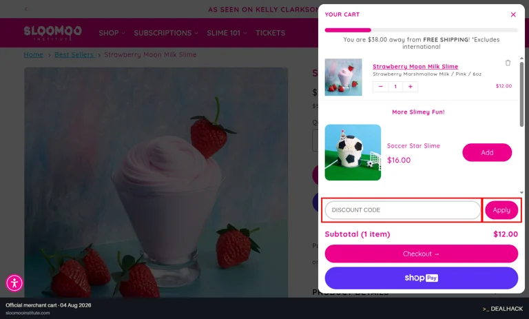Sloomoo Institute checkout page showing the Discount Code field and Apply button